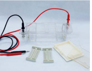 ELECTROPHORESIS CELL DYCP - 31CN (CAT.NO.: 122-3136)