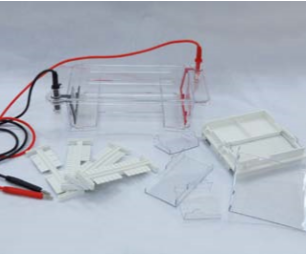 ELECTROPHORESIS CELL DYCP - 31DN (CAT.NO.: 122-3146)