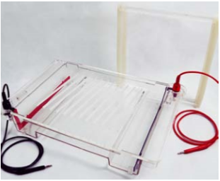 ELECTROPHORESIS CELL  DYCP-32C (Cat. No.: 122– 3230)