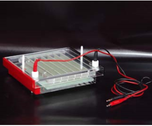 ELECTROPHORESIS CELL DYCP - 44P (CAT.NO.: 122 - 4470)