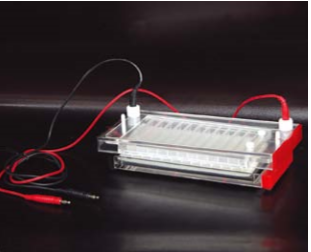 ELECTROPHORESIS CELL (Cat No.:122-4480)