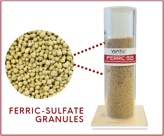 FERRIC-SG